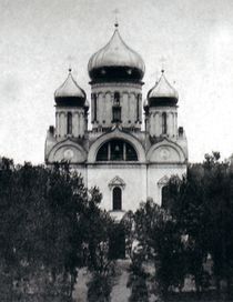 собор святой Екатерины Царского села 1897 год.